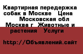 Квартирная передержка собак в Москве › Цена ­ 300 - Московская обл., Москва г. Животные и растения » Услуги   